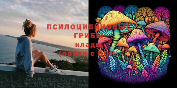 экстази Михайловка