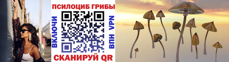 Псилоцибиновые грибы Cubensis  Майский 