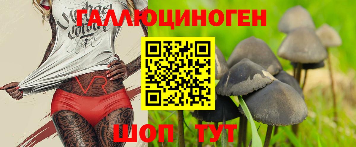 Галлюциногенные грибы Psilocybe  Галлюциногенные грибы MAGIC MUSHROOMS  Майский 