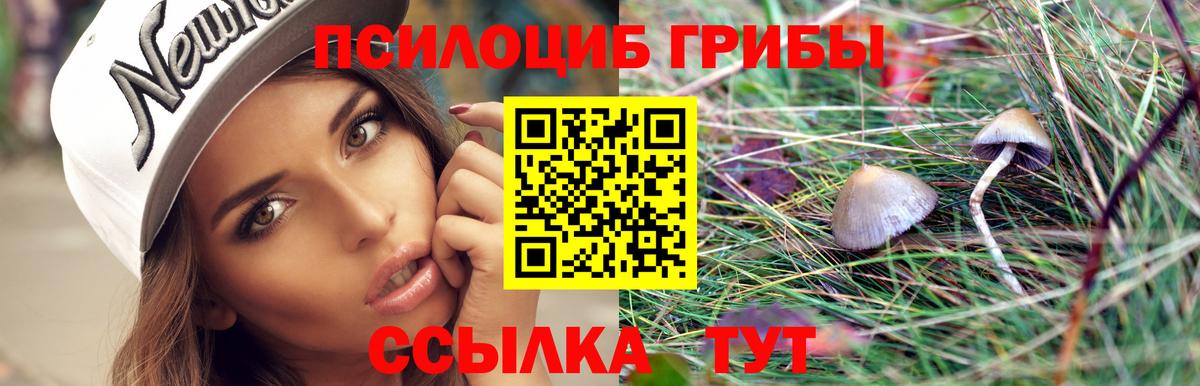 Псилоцибиновые грибы MAGIC MUSHROOMS Майский